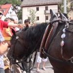 30 festival Idrijske čipke 04