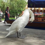 Blejsko jezero - Slovenija - Mobifotka_Blaž Juvan 06