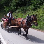 Blejsko jezero - Slovenija - Mobifotka_Blaž Juvan 08