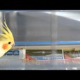Glidetrack, delovska reflektorska stojala in snemanje Razširjanje video produkcije v smeri bolj zanimivih posnetkov zna koštati...