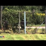 Presrala me je šok bomba policijske specialne enote